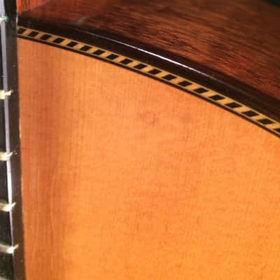 Gurian Jumbo Guitar 1970s image 10