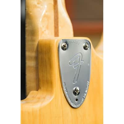 1976 Fender Stratocaster natural image 6