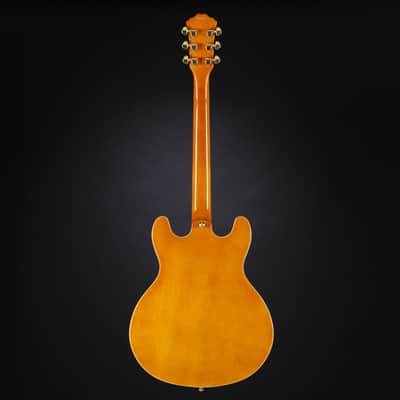 J & D SH 40 TA Transparent Amber  - Semi Acoustic Guitar image 3