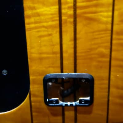 Peavey Dynabass - Orange Amber Flame - Donald Duck Dunn image 10