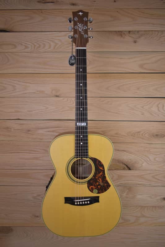 Maton EBG808TE 2024 - Queensland Maple/AAA Spruce image 1
