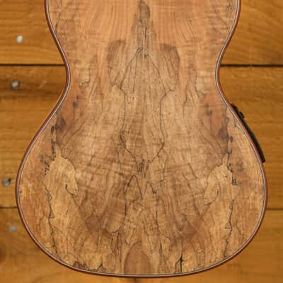 Cordoba 24T-CE Spruce Tenor Electro Ukulele | Natural image 2