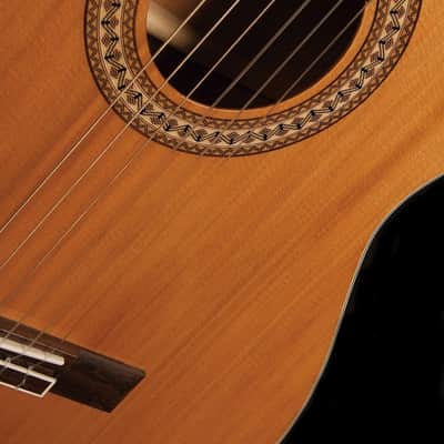 Jasmine JC27CE-NAT Nylon String Acoustic Electric Classical Guitar. Natural Finish image 5