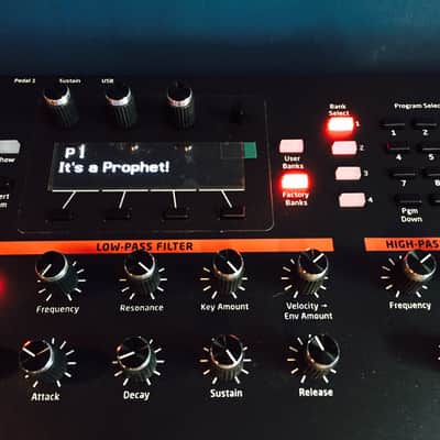 Dave Smith Instruments Prophet 12 Keyboard Synthesizer 50% shipping cost shared image 6