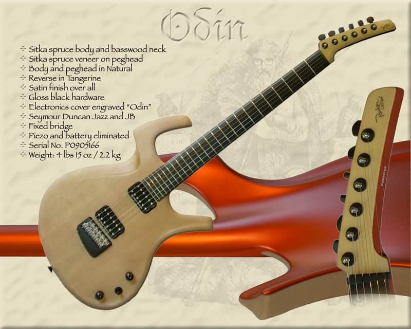 Parker Fly Artist, Custom (Odin) image 1
