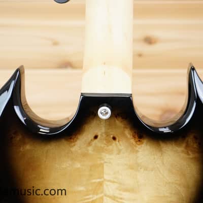 Wylde Audio IronWorks Barbarian - Black Burst image 7
