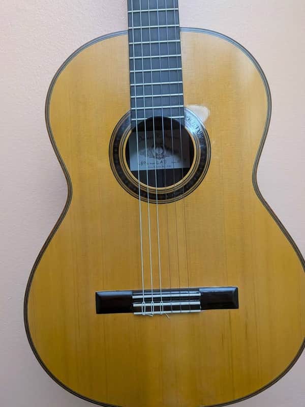 Brazilian Rosewood Hippner classical guitar