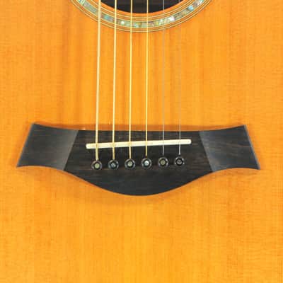 Taylor GS8 2006 cedar top - truly a great sounding guitar - Taylor 814 style body image 4
