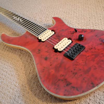 Mayones Regius 25th Anniversary image 3