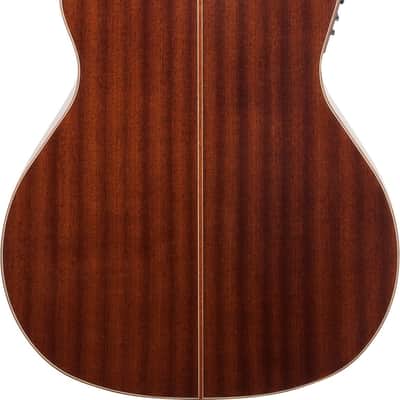 Washburn G15SCE 12-String Grand Auditorium Acoustic-Electric Guitar, Solid Spruce Top image 3