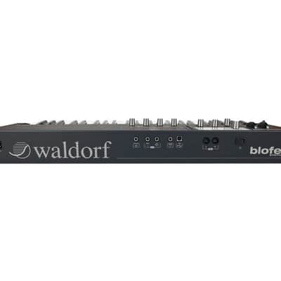 Waldorf Blofeld Virtual Analog Keyboard Synthesizer (Black) image 3