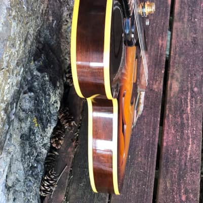 Gibson ES-120T 1964 - Sunburst image 6
