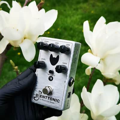 DJENTTONIC and SHREDINHERE premium guitar pedals, distortion, overdrive, fuzz analog effects. Discount -10% image 10