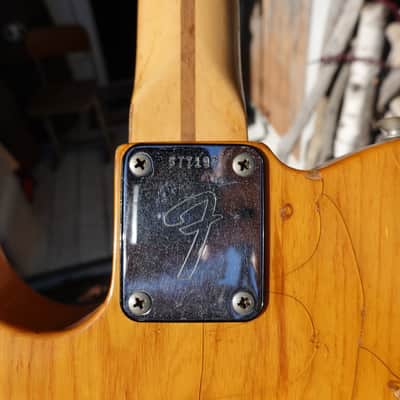 1972 Fender Telecaster with Maple Fretboard image 14