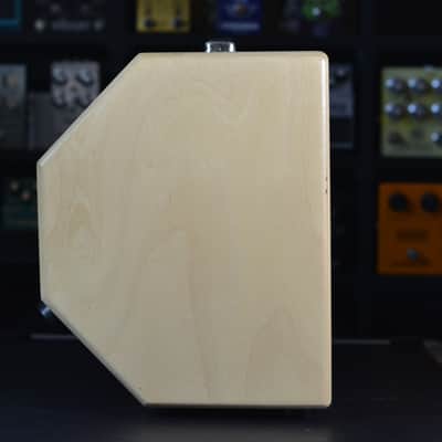 Mambo Amp 10" combo image 6