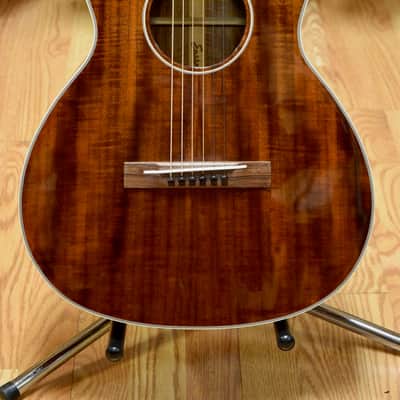 Eastman E10OOM image 1