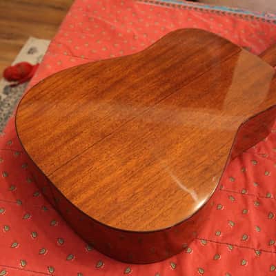 Preston Thompson Dreadnought Cuban Mahogany / Adirondack image 5