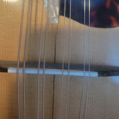 Unknown Mandola 2000+ image 2