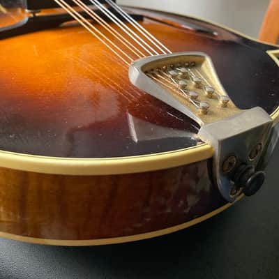 1983 Kentucky KM-Dawg (with video): Monteleone designed / Grisman endorsed / Sumi made image 14