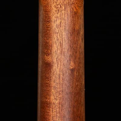 Martin D-X2E Burst Sitka/Ziricote (873) image 6