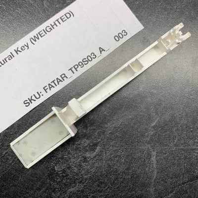 Fatar Replacement Weighted A Key (TP/9S Keybeds) for Sequential Prophet-6, Access Virus Indigo 2/TI Polar, Moog Grandmother/Matriarch, Oberheim OB-X8/OB-6/TVS Pro, Waldorf Blofeld/Microwave XTk, Ensoniq Fizmo, & more image 3