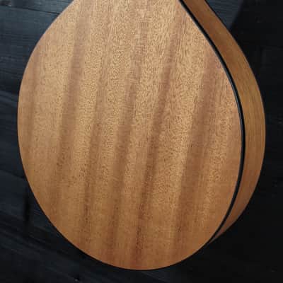 Eastman PCH M104 Natural A-Style / Flattop Oval Hole Mandolin image 16