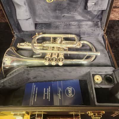 Bach Stradivarius 184 Cornet (Indianapolis, IN) image 1