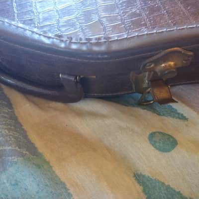 Gator✌️Vintage Plush - Electric Guitar Case image 9