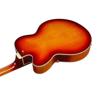 Ibanez AF115-AWB image 5