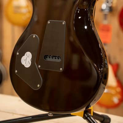 PRS SE DGT MOONS GOLD TOP image 14