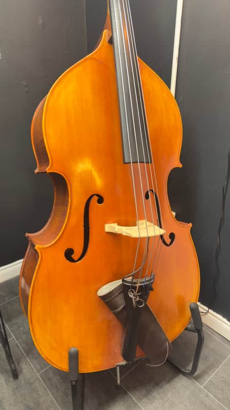 5-String upright bass image 1