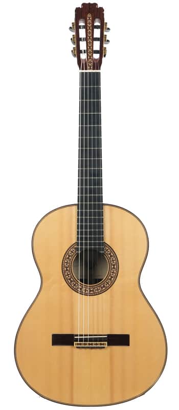 Dirk Janssen D30 Magma Concert Brazilian Rosewood 2014 image 1