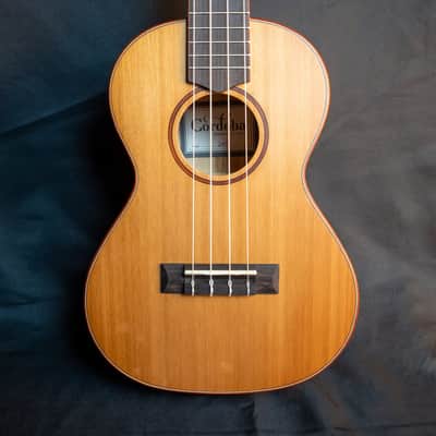 Cordoba 24T cedar top spalted maple tenor ukulele image 5