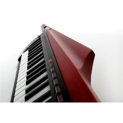 Korg Rk 100 S2 Rd image 5