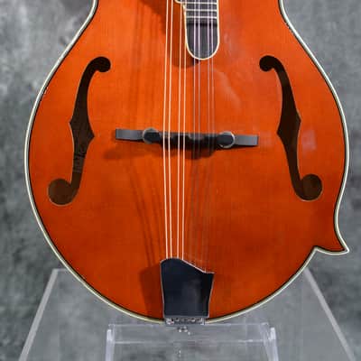 Michael Kelly Legacy Plus F Style Mandolin w Deluxe Hardshell Case & FAST Shipping image 2