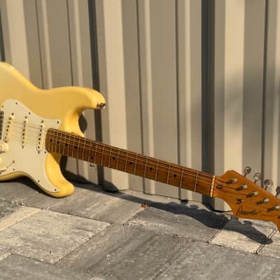 Danocaster  Double Cut @AIFG