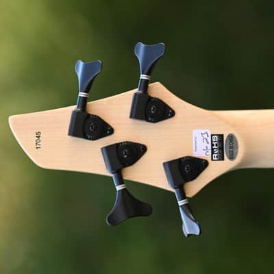 Dingwall John Taylor Signature 4-string - Primrose image 6