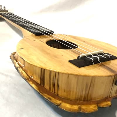 Turtle Shell Soprano Ukulele image 7