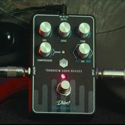 Trondheim Audio Devices SKARBASSONE multi-effects pedal for bass guitar image 5