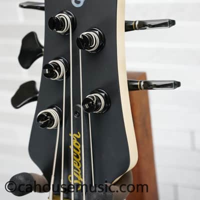 Immagine Spector Euro 5 LX - Trans Black Stain Matte - 20