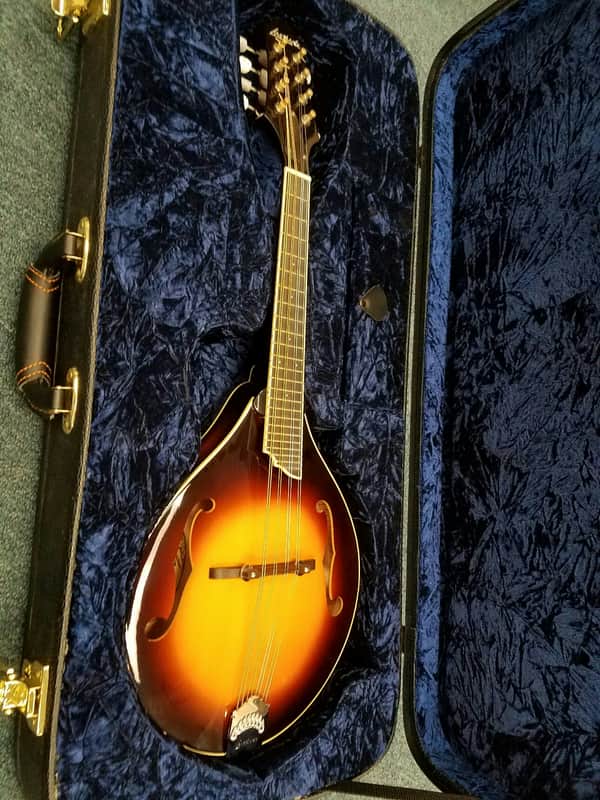 Larrivee A-33 Mandolin Unknown Sunburst image 1