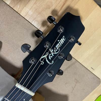 Takamine LTD 2007 image 7