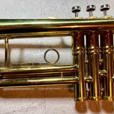 Parrot Trumpet model NO.6416 image 11