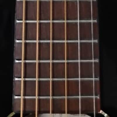 Alvarez Delta00 E TSB Tobacco Sunburst Parlor Acoustic Electric Guitar + HS case image 4