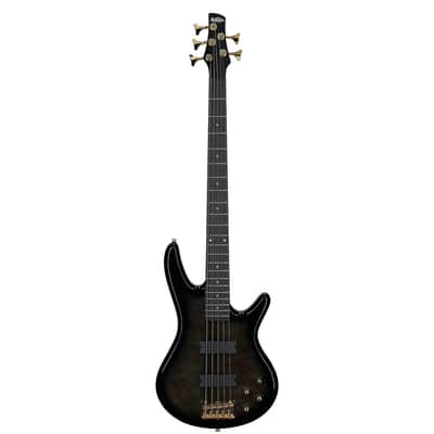 Ibanez GSR205PC Gio Electric Bass, 5-String, Transparent Pale Black Burst image 3
