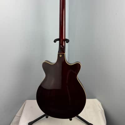Jay Turser Hollow Body Electric Bass Guitar w/ Hardshell Case – Tobacco Sunburst image 13