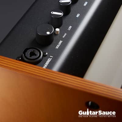 Fender Acoustic Amp 100 Watt 2024 (Cod. AMP_00161) image 2