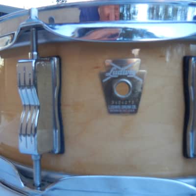 Ludwig LS401 Classic Maple 5x14" 10-Lug Snare Drum image 2
