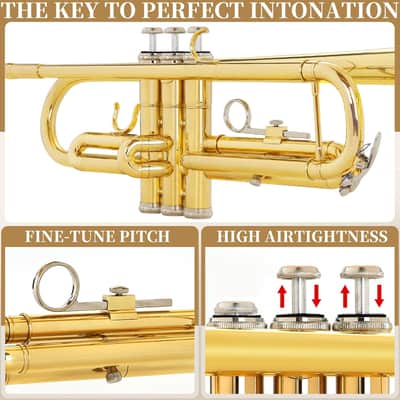 Bb Standard Trumpet, Premium Brass Trumpets for Student Beginner, Trumpet Instrument Set with Case, 7C Mouthpiece, Mute, Beginner's Guide Kit, Cleaning Kit (Gold) image 3