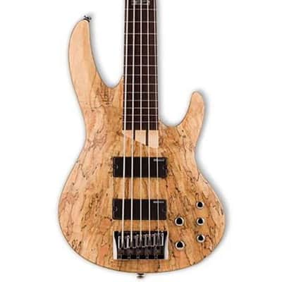 ESP LTD B-205SMFL Fretless 5-String Bass image 1